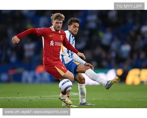 “英超足球傀儡队”指的是谁?内部管理和外部控制揭秘 “英超足球傀儡队”指的是谁?内部管理和外部控制揭秘